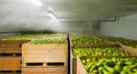 Холодильные склады и камеры с регулируемой газовой средой, РГС