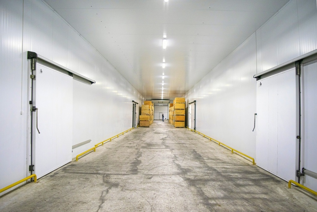 vegetable storage 20 apples 2.jpg